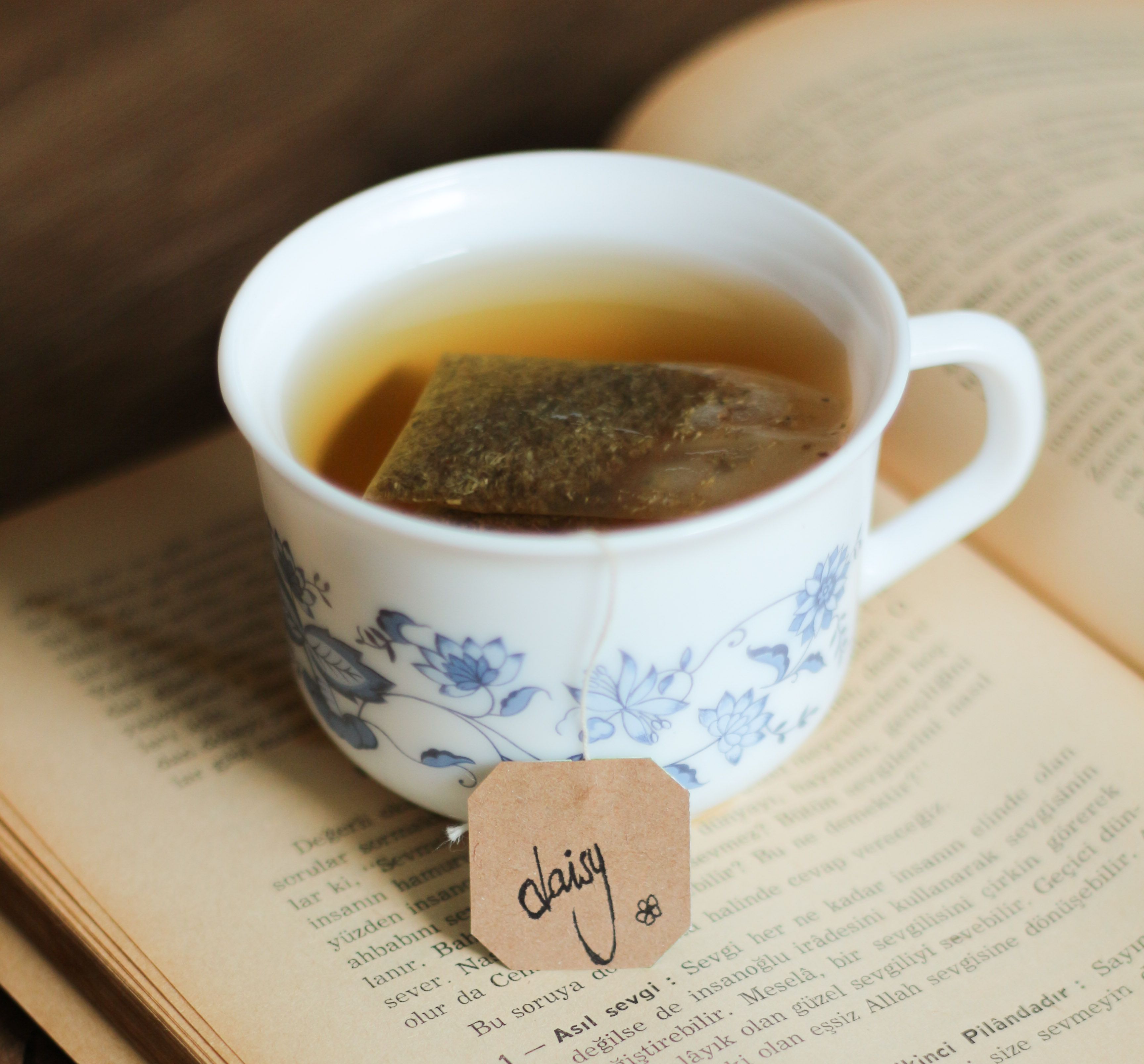 Teabag brewing in a cup of tea resting on an open book