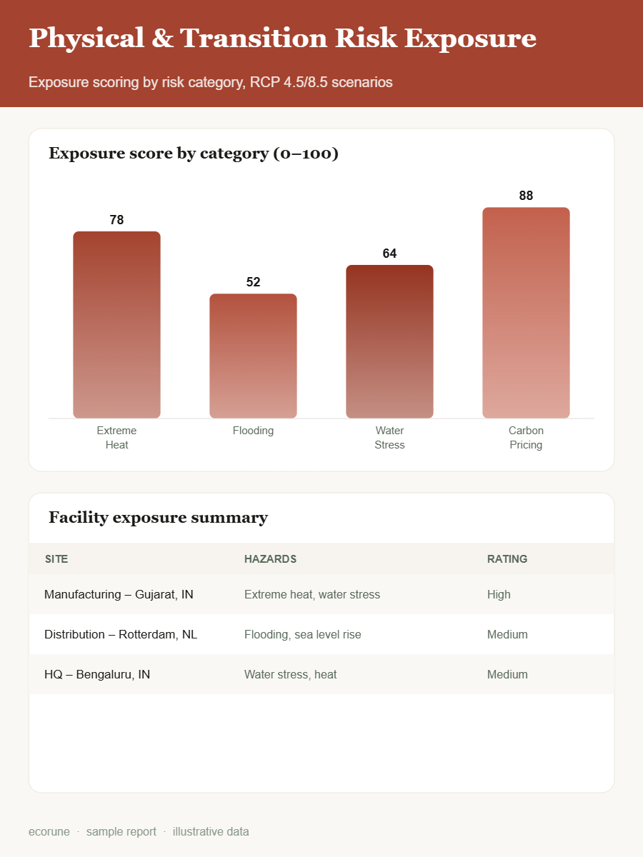 Physical and transition risk exposure